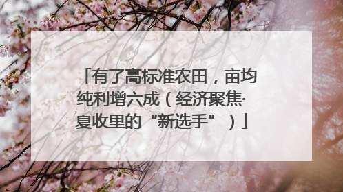 有了高标准农田，亩均纯利增六成（经济聚焦·夏收里的“新选手”）