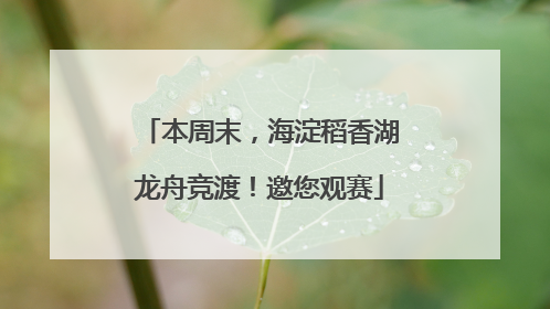 本周末，海淀稻香湖龙舟竞渡！邀您观赛