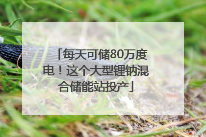 每天可储80万度电！这个大型锂钠混合储能站投产