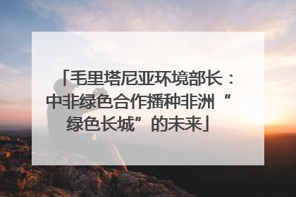 毛里塔尼亚环境部长：中非绿色合作播种非洲“绿色长城”的未来