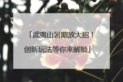 武夷山暑期放大招！创新玩法等你来解锁