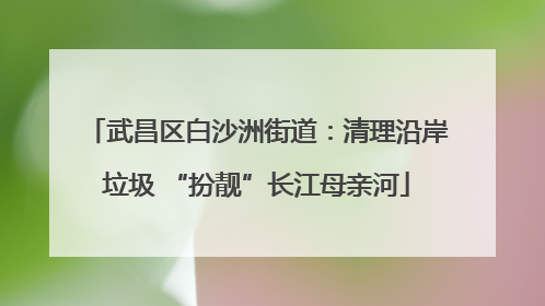 武昌区白沙洲街道：清理沿岸垃圾 “扮靓”长江母亲河