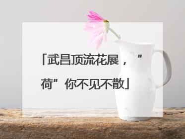 武昌顶流花展，“荷”你不见不散