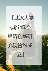 武汉大学·咸宁低空经济创新研究院签约成立