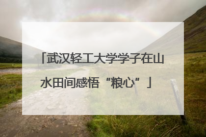 武汉轻工大学学子在山水田间感悟“粮心”