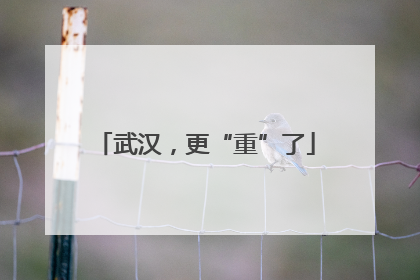 武汉，更“重”了