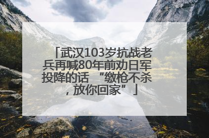 武汉103岁抗战老兵再喊80年前劝日军投降的话 “缴枪不杀，放你回家”
