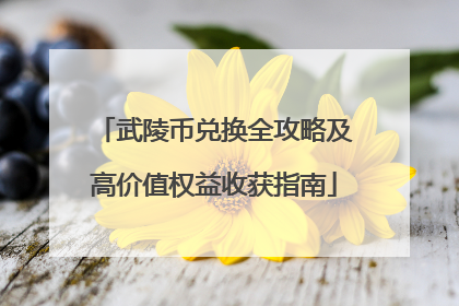 武陵币兑换全攻略及高价值权益收获指南