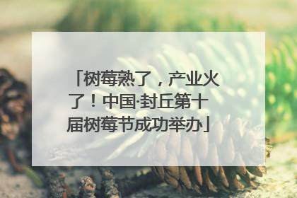 树莓熟了，产业火了！中国·封丘第十届树莓节成功举办