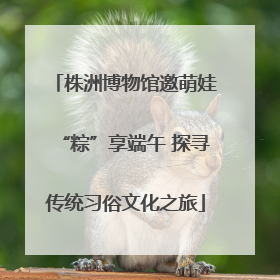 株洲博物馆邀萌娃“粽”享端午 探寻传统习俗文化之旅
