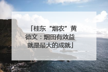 桂东“烟农”黄德文：烟田有效益就是最大的成就