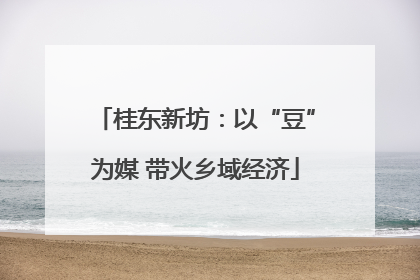 桂东新坊：以“豆”为媒 带火乡域经济