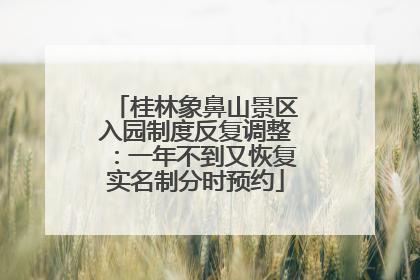 桂林象鼻山景区入园制度反复调整：一年不到又恢复实名制分时预约