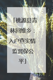 桃源县青林回维乡：入户查实情 监督保公平