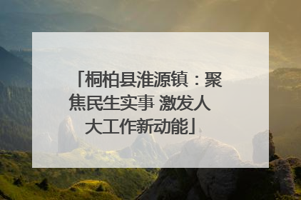 桐柏县淮源镇：聚焦民生实事 激发人大工作新动能
