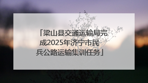 梁山县交通运输局完成2025年济宁市民兵公路运输集训任务
