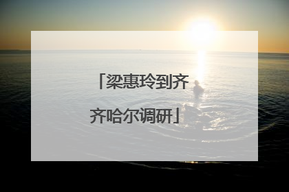 梁惠玲到齐齐哈尔调研