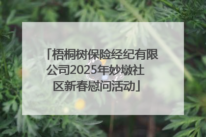 梧桐树保险经纪有限公司2025年妙墩社区新春慰问活动