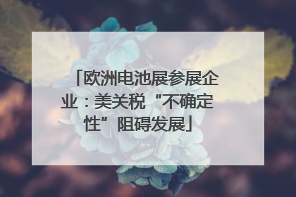 欧洲电池展参展企业：美关税“不确定性”阻碍发展