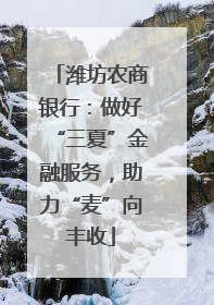 潍坊农商银行：做好“三夏”金融服务，助力“麦”向丰收