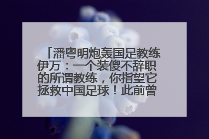 潘粤明炮轰国足教练伊万：一个装傻不辞职的所谓教练，你指望它拯救中国足球！此前曾多次发文评价国足