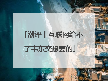 潮评丨互联网给不了韦东奕想要的