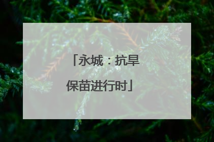 永城：抗旱保苗进行时