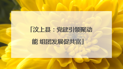 汶上县：党建引领聚动能 组团发展促共富