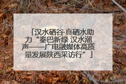 汉水硒谷·真硒水助力“秦巴新绿 汉水潮声——广电融媒体高质量发展陕西采访行”