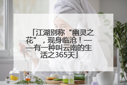 江湖别称“幽灵之花”，现身临沧！——有一种叫云南的生活之365天