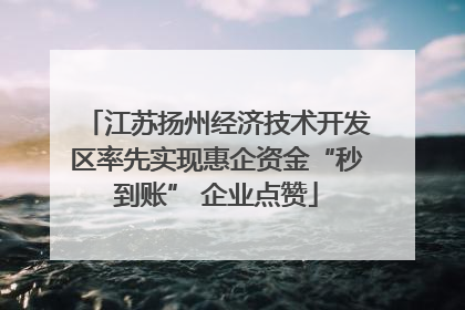 江苏扬州经济技术开发区率先实现惠企资金“秒到账” 企业点赞