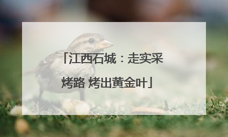 江西石城：走实采烤路 烤出黄金叶