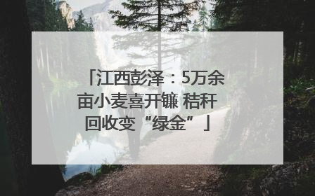 江西彭泽：5万余亩小麦喜开镰 秸秆回收变“绿金”