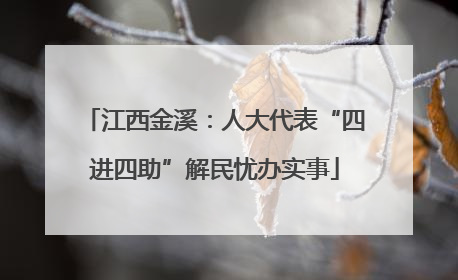 江西金溪：人大代表“四进四助”解民忧办实事