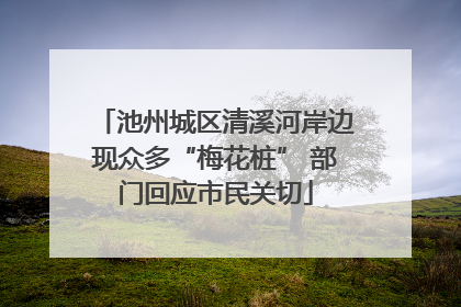 池州城区清溪河岸边现众多“梅花桩” 部门回应市民关切