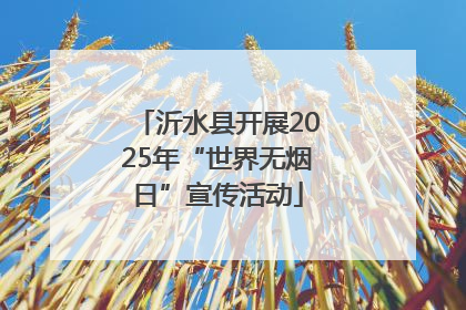 沂水县开展2025年“世界无烟日”宣传活动