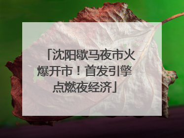 沈阳歇马夜市火爆开市！首发引擎点燃夜经济