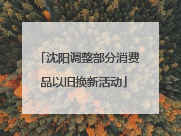 沈阳调整部分消费品以旧换新活动