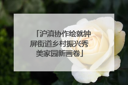 沪滇协作绘就钟屏街道乡村振兴秀美家园新画卷