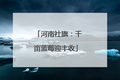 河南社旗：千亩蓝莓迎丰收