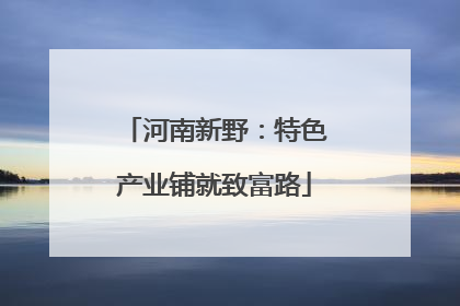 河南新野：特色产业铺就致富路