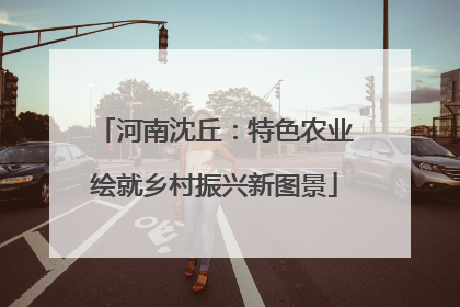 河南沈丘：特色农业绘就乡村振兴新图景