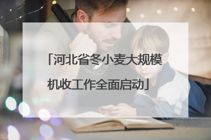 河北省冬小麦大规模机收工作全面启动
