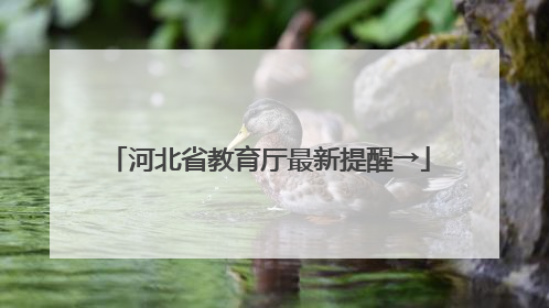 河北省教育厅最新提醒→