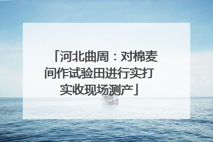 河北曲周：对棉麦间作试验田进行实打实收现场测产