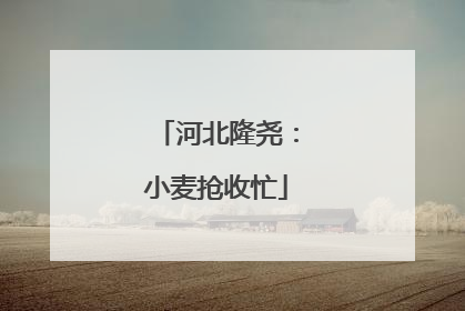 河北隆尧：小麦抢收忙
