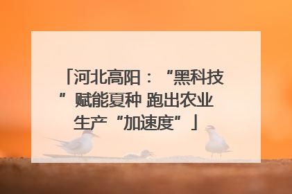河北高阳：“黑科技”赋能夏种 跑出农业生产“加速度”