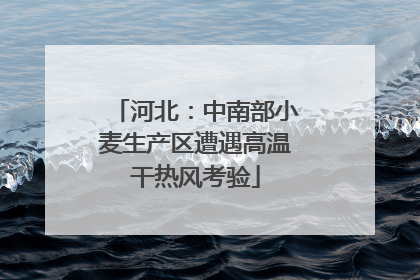 河北：中南部小麦生产区遭遇高温干热风考验