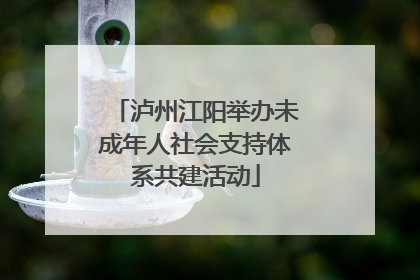 泸州江阳举办未成年人社会支持体系共建活动