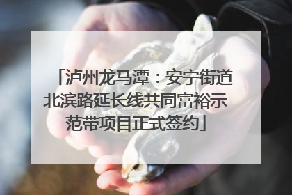 泸州龙马潭：安宁街道北滨路延长线共同富裕示范带项目正式签约